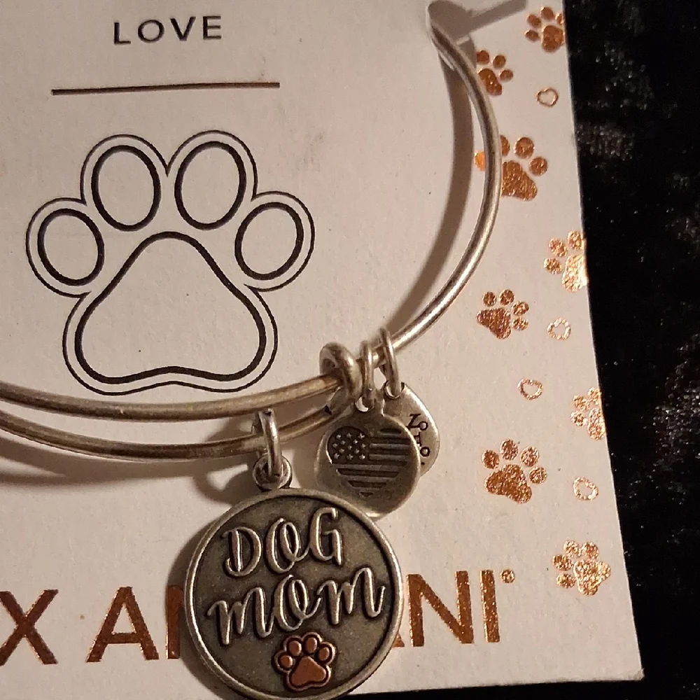 Alex and Ani Silver and Orange Dog Lover's Charm